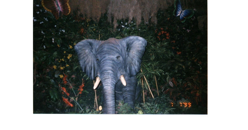 disney Elephant in Rainforest Cafe
