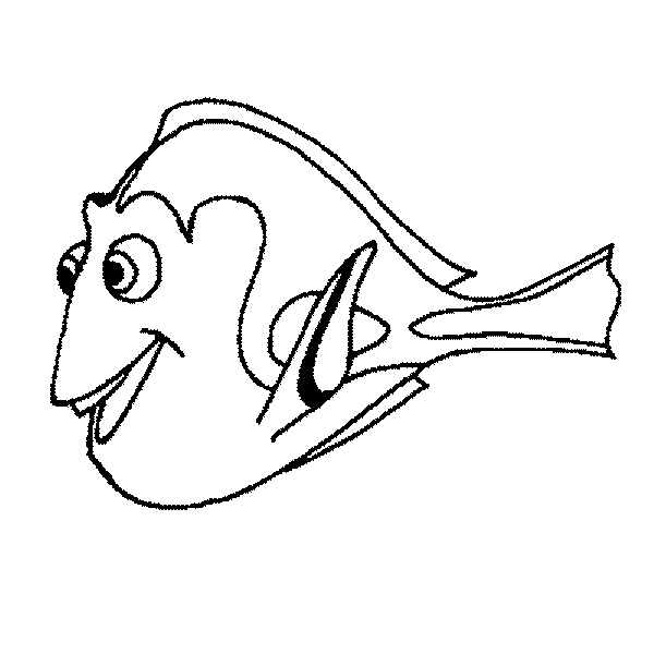 dory-coloring