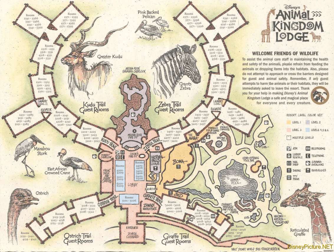 Animal Kingdom Lodge map