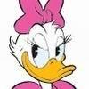 Daisy Duck avatar