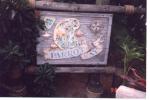 disney Parrot Cay Sign
